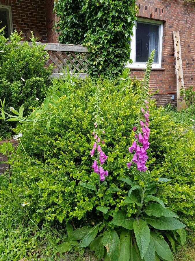 Ferienwohnung Im Naturgarten Schneverdingen Esterno foto